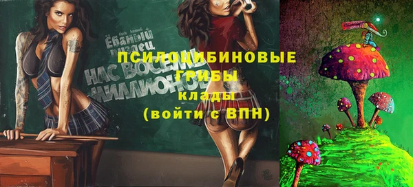 спиды Липки