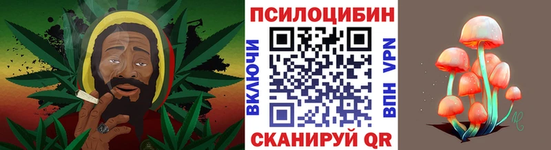 Галлюциногенные грибы прущие грибы  Купить где  Ярцево 